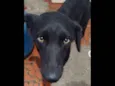 Meg