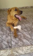 Safira