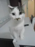 TOINHO