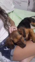 Sharlote