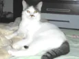 TOINHO