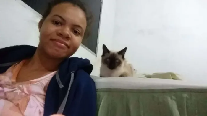 Gato raça mestiça idade 2 a 6 meses nome Abigail