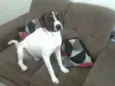 Flocos