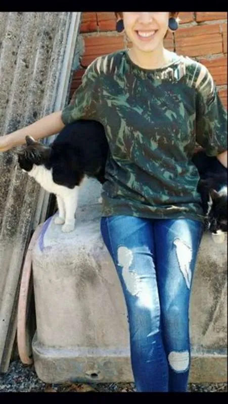 Gato ra a Curl Americano idade 7 a 11 meses nome S/nome