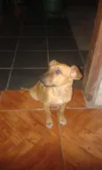 Montanha