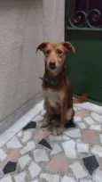 Moana