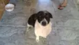 Não tem nome ainda