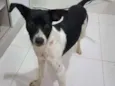 Lulu