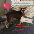 Kiara