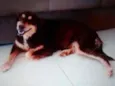 Nina