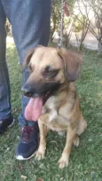 ROMEU