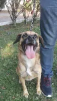 ROMEU
