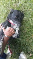 Betina