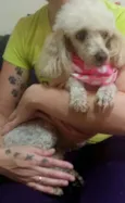 Princesa