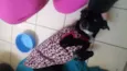 Gracinha