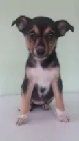 Princesa