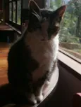 Pilantra
