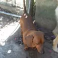 Belinha e lindinha