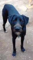 Gaspar