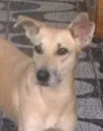 Kiara