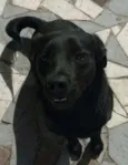 Théo