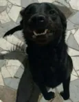 Théo