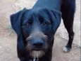 Gaspar