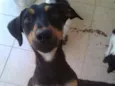 Nina