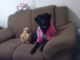 Emy