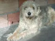 luly