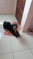 Kika
