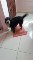 Kika