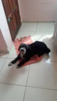 Kika