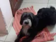 Kika