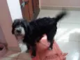 Kika