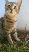 Sem Nome