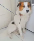 SPIKE