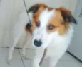 SPIKE