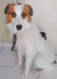 SPIKE