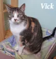 Vick