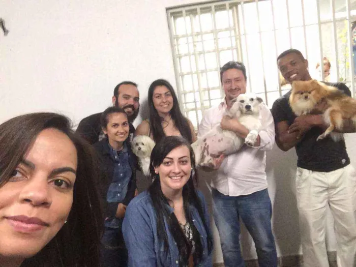 Cachorro raça Nao sei idade 5 anos nome Alvin
