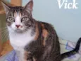 Vick