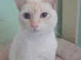 Léo