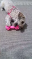 PETEKA