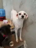 Billy