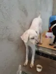 Billy