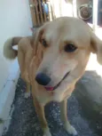 JÚLIE