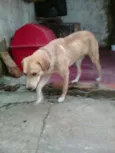 JÚLIE