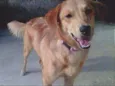 JÚLIE