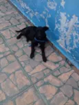Ralf